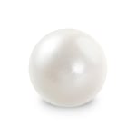 Perixx PERIPRO-303 GWH Small Trackball - 1.34 Inches Replacement ball for PERIMICE and M570 - Glossy White