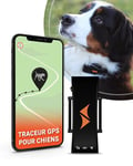 PAJ GPS pour Chien - Alarme de Fugue + Suivi en Direct - Mode d'économie de Batterie près de routeur - Signaux sonores- Étanche (IP67) - s'adapte à Tous Les Colliers