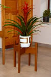 Florny Handmade Solid Wood Plant  Stand Planter  (40 cm)