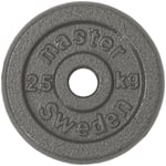 Skolvikt master fitness - 26mm 2,5 kg gjutjärn