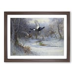 Blackcock And Grouse In Flight By Archibald Thorburn Classic Painting Framed Wall Art Print, Ready to Hang Picture for Living Room Bedroom Home Office Décor, Walnut A3 (46 x 34 cm)