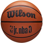 ballons de basket Unisexe, Wilson NBA Jr DRV Fam Logo Ball, Orange