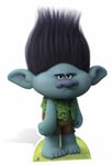 Branch from DreamWorks Trolls Cardboard Cutout / Standee / Standup bergens