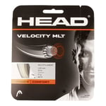 HEAD Velocity MLT Cordage En Garniture 12m - Écru