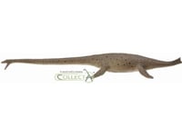 Collecta Dinosaur Thalassomedon Figur 1:40 (004-88760)