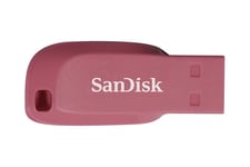 SanDisk Cruzer Blade - USB flash-enhet - 32 GB