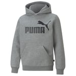 PUMA Hettegenser Essentials Big Logo - Grå/Sort Barn, størrelse 116 cm