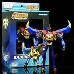 MOST WANTED VFS003 Raiking