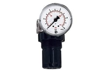 Riegler 101303 Régulateur de pression d'eau Manomètre G 1/4 0,1-3 bar