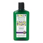 Full Volume Shampoo Lavender and Biotin 11.5 oz By Andalou Naturals