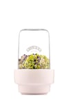 Kilner 0.5L Sprouting Set Glass Jar with Stainless Steel Lid Ceramic Base & Recipe Booklet Ideal for Growing Broccoli Beans Radish Lentils BPA-Free Sustainable Dishwasher Safe