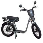 Cyclomobile léger WISPEED Wimob Plus 20’’ homologué 350W Gris