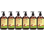 Eight Triple Eight Shampoo Apple Cider Vinegar 1L