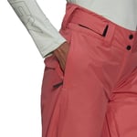 adidas Terrex Resort Two-Layer Insulated Pant Dam