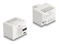 Delock Keystone-Modul Med Usb Typ A Och Usb Typ C Laddningsuttag Pd 20 W Vit