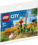 LEGO 30590 Farm Garden & Scarecrow Polybag