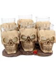 6 stk Hodeskalle Shotglass 10 cm