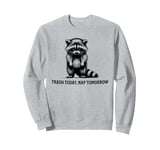 Raccoon Funny Sarcasm and Humor Trash Today Nap Tomorrow Sweatshirt