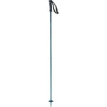 Salomon Arctic Unisex Poles Ski Hiking 110cm