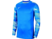Nike Y Park IV GK Sweatshirt CJ6072 463 för pojkar