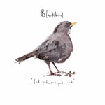 Madeleine Floyd - The Dawn Chorus - Blackbird