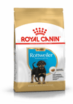 Rottweiler valp tørrfôr for valp 12 kg - Hund - Hundefôr - Tørrfôr - Royal Canin