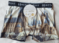 Boxer Harry Potter neuf taille 10/12 ans marque Wizarding World