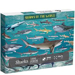 Shark Puzzles for Adults 1000 Pieces and Up, Ocean Fish Puzzle of Whale Hammerhead Great White Sharks Puzzle, Marine Nature Jigsaw Puzzle Sea as Shark Gift