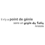 StickHappy TCA0002-gris foncé-100x22 Stickers citation grain de folie Gris Foncé 100 x 22 x 0,1 cm