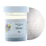 COLOUR SPLASH Pearl Food Colouring Dusts, Lustre Dust for A Pearlescent Finish to Cake Surfaces Or Decorations, Create A Rainbow Cake Kit with an Assortment of Glistening Colours - Silver 5g