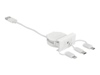 Delock Easy - Lightning-Kabel - Usb Hann Til Micro-Usb Type B, Lightning, 24 Pin Usb-C Hann - 50 Cm - Hvit, Ral 9003 - Tilbaketrekkbar, Flat