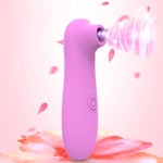 Pleasurizer Pulse - Lufttrycksvibrator