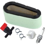 496894 Luftfilter och förfilter kit för Briggs & Stratton 12,5-17 hk 494768 gräsklippare