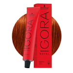 Schwarzkopf Igora Royal 6-77 Extra Copper Dark Blonde 60ml