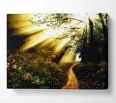 Mystical Garden Path Canvas Print Wall Art - Double XL 40 x 56 Inches