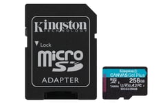 Kingston MicroSDXC Canvas Go! Plus 256GB V30 170/90MB/s + SD-Adapter