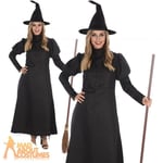 Adult Wicked Witch Costume Wizard Of Oz World Book Day Week Womens Fancy Dress