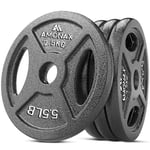 Amonax Cast Iron Weight Plates Set, 2.5kg, 5kg, 10kg Dumbbell Plates for 1 Inch Weight Plates Bars, Metal Barbell Plates for Weight Lifting Hip Thrust, Steel Weight Plates for Home Gym