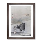 Cow At The Rivers Edge By Hashimoto Gaho Asian Japanese Framed Wall Art Print, Ready to Hang Picture for Living Room Bedroom Home Office Décor, Walnut A4 (34 x 25 cm)