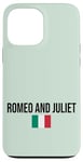 Coque pour iPhone 13 Pro Max Romeo and Juliet Love Illustration Novelty Graphic Designs