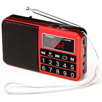 J-429 Petite Radio Portable, AM/FM/SW Radio Rechargeable avec Haut-Parleur AUX/SD/TF/MP3. Radio à Piles avec Gros Boutons et Grand écran. (Pas de