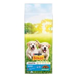 PURINA Bonzo Junior med kyckling, grönsaker & mjölk hundfoder - Ekonomipack: 2 x 15 kg