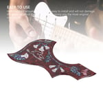 Hummingbird Pickguard Guitar Replacement Self Back Scratch Proof 2mm Thick PAJ