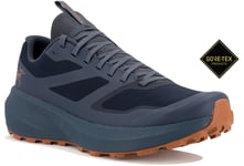 Arcteryx Norvan LD 3 Gore-Tex M Chaussures homme