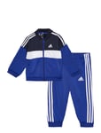 I Tiberio Ts Blue Adidas Sportswear