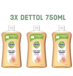 DETTOL SOFT ON SKIN ANTIBAC LIQUID HAND WASH 750ml GRAPEFRUIT REFILL X3 (2250mL)