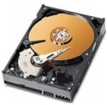 MicroStorage 40GB IDE 3.5" 3.5" 40 Go IDE/ATA Disque Dur - Disques durs (3.5", 40 Go, 7200 TR/Min)