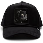 Casquette Goorin Bros  -