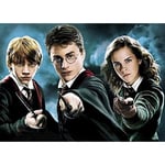 (30x40cm)30 X 40cm Harry Potter DIY 5D Diamantmålad Strand