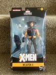 X-Men The Age of Apocalypse Weapon X Marvel Legends Series Action Figure - New